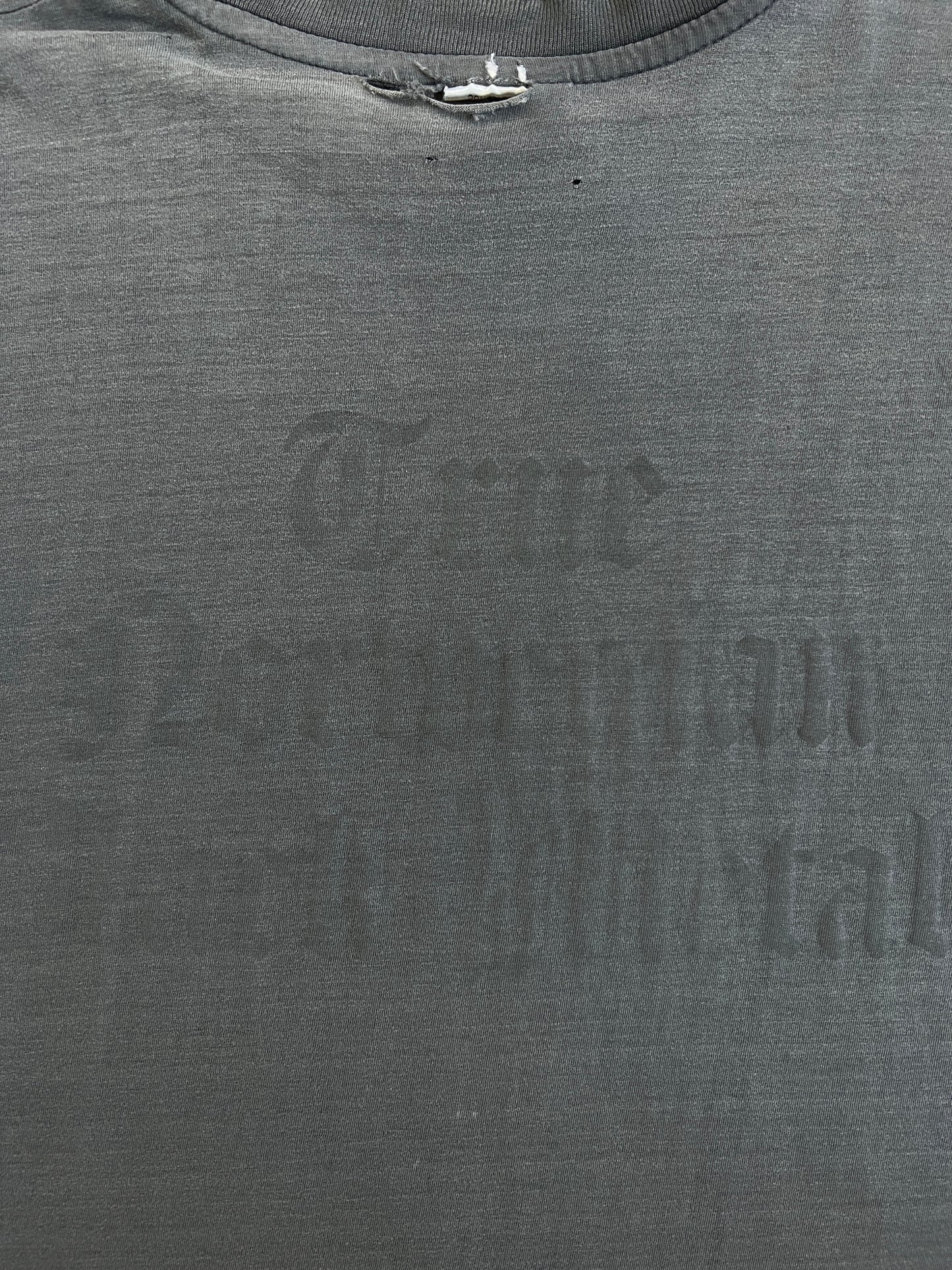 1990s Darkthrone "True Norwegian Black Metal" Cut-Off Band Tee