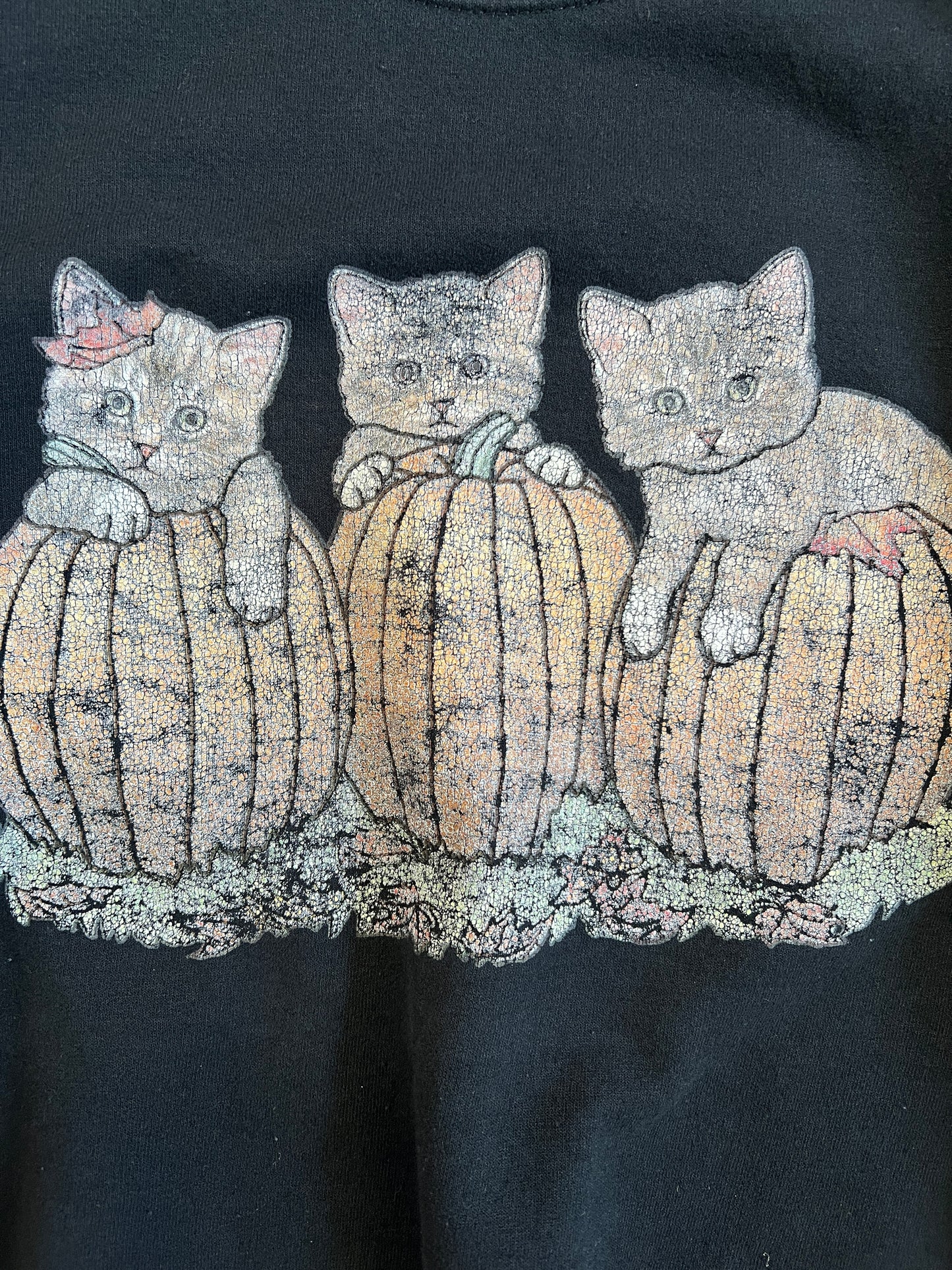 1990s Halloween Kittens Sweatshirt