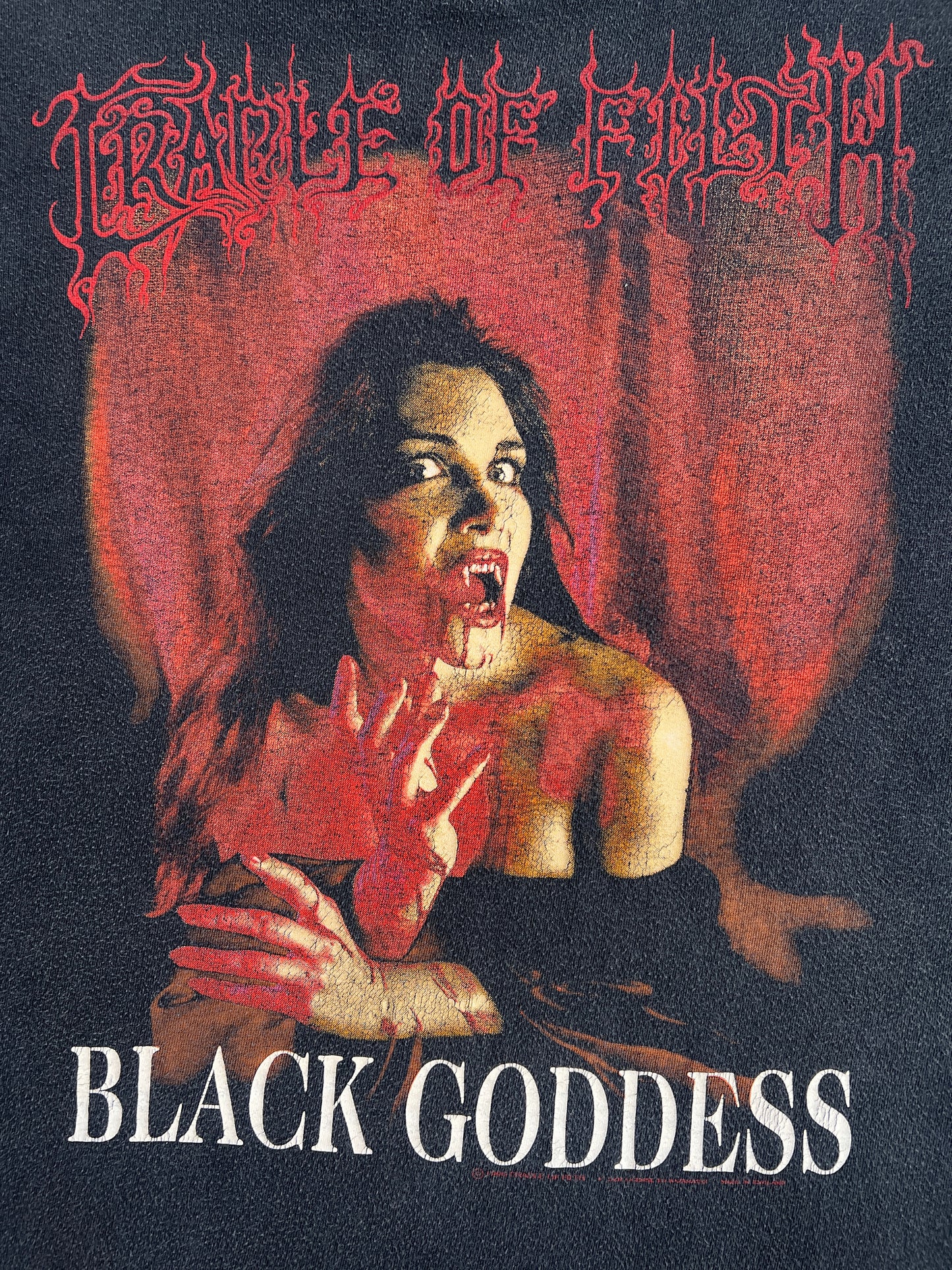 1990s Cradle Of Filth "Black Goddess" Band Long Sleeve